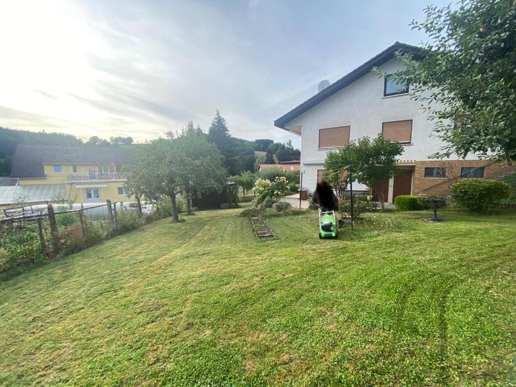 Ferien- Und Monteurwohnung Zum Waldblick 外观 照片